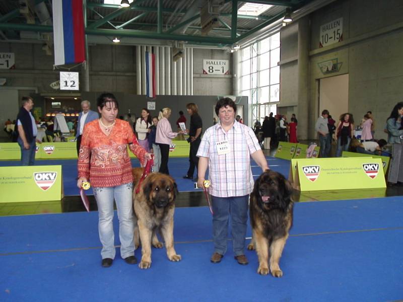 Salzburg Clubschau Mai 06 040 